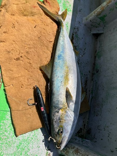 ダイワのpx68リベルトピクシーとリベルトピクシーエアリーレッド