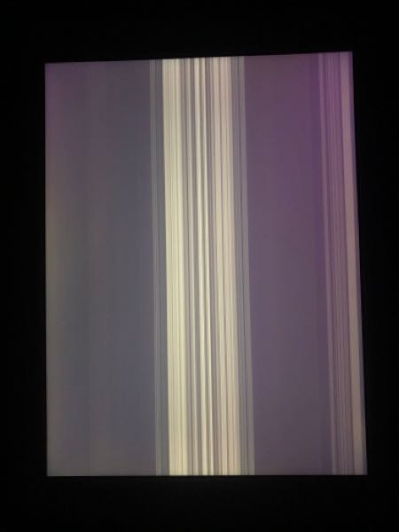 iPadが水没して数日おいて起動したら画面が写真のようになったの