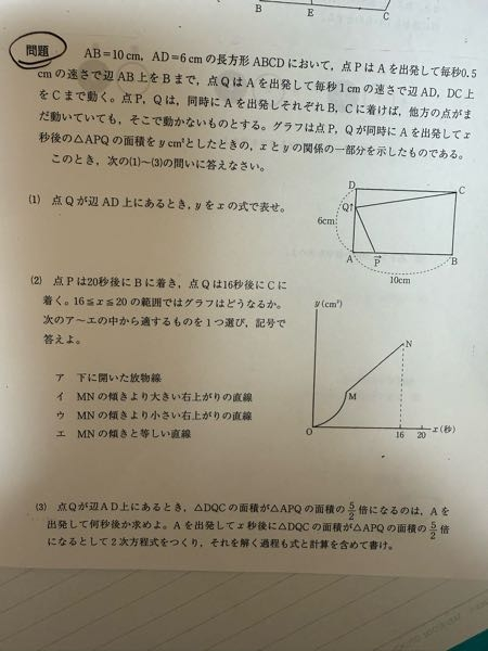 ハセ✴︎他の方は購入できません 至急お願いします！欲しい商品があり、これら二つのサイトを見つけたの