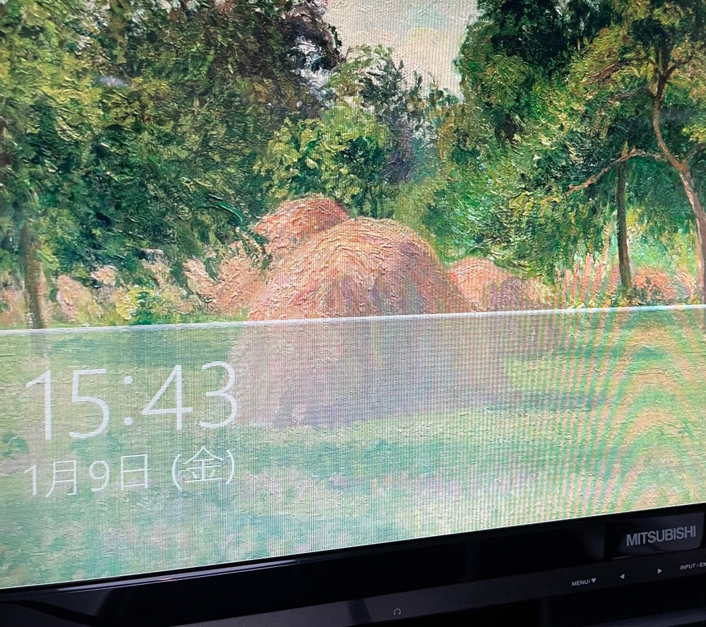 ジャンク品のノートパソコン買ってきたのですが、起動しないので、後ろ