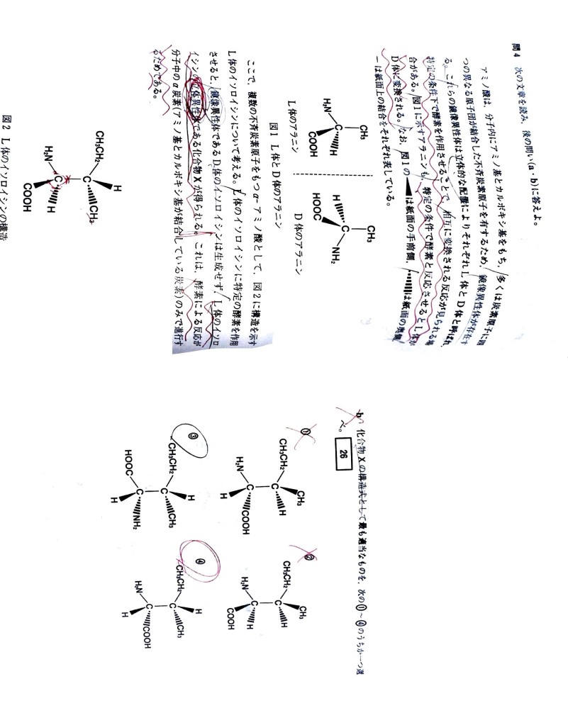 【共通テスト有機化学】の問題です。 (画像の向きが見にくくてすみません) L体のイソロイシンの立体異性体である化合物Xが得られますが、この時酵素による反応が分子中のα炭素のみで進行する事は問題文に書かれており分かったのですが、α炭素で反応が起こるときになぜ4番の回答になるのでしょうか。 3番ではダメなのでしょうか？3番はL体の立体異性体ではないのでしょうか？ わかる方解説をよろしくお願いいたします。 できるだけ早めによろしくお願いいたします。
