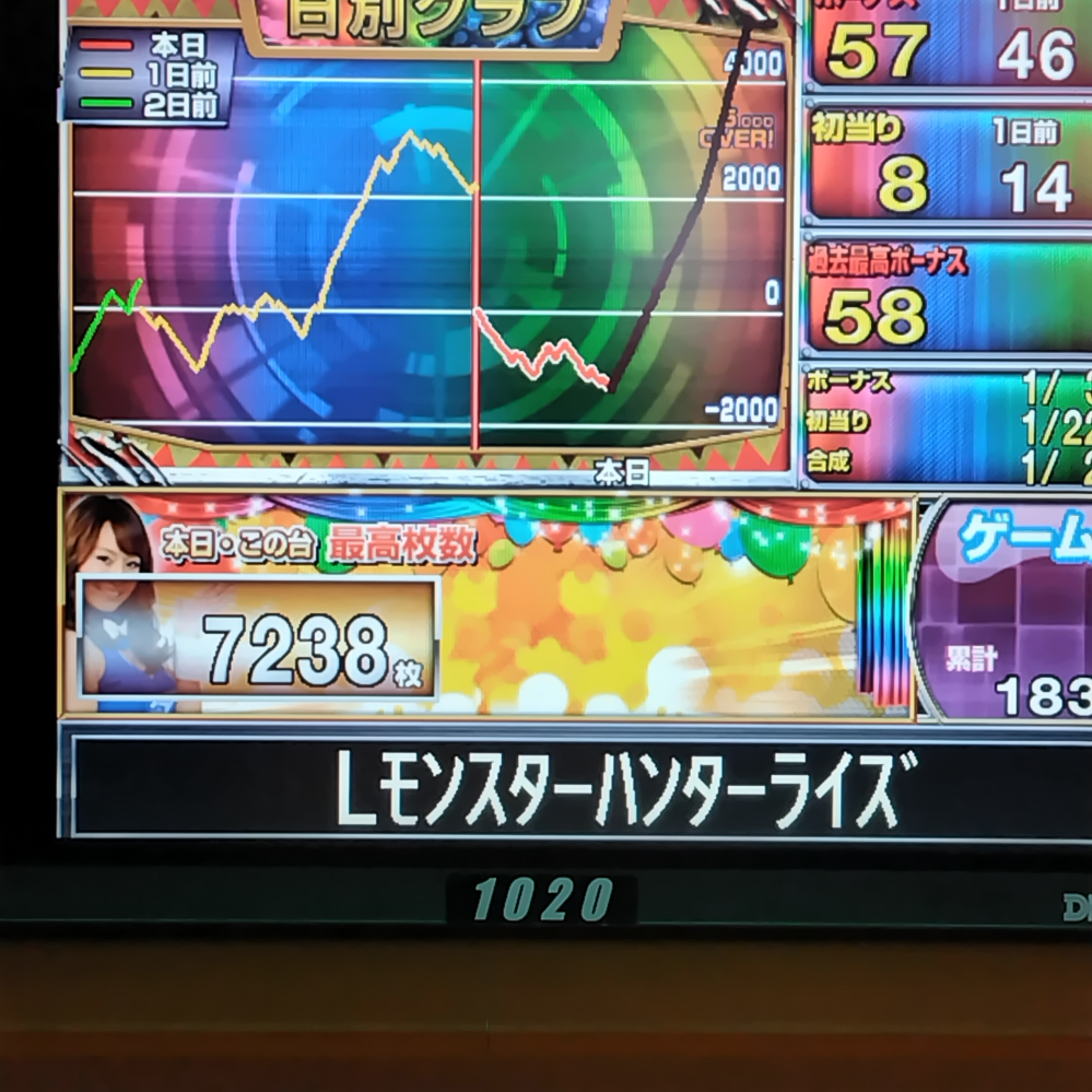 モンハンライズ打ってこんな事になりました。設定は何でしょうか？1