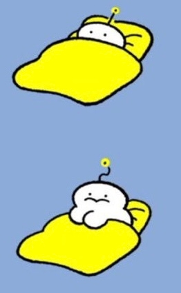 らいこー@購入時はプロフを見てください。 6枚 LAILA(レイラ) カラー