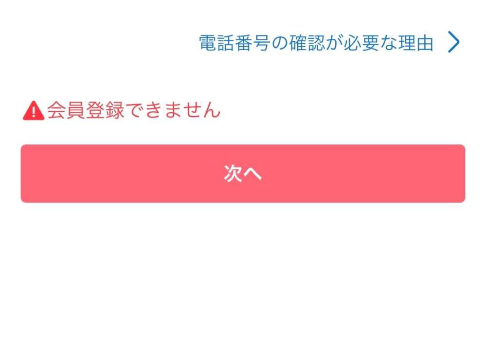 メルカリで初めてやらかしました…バッグを購入したのですが、色を