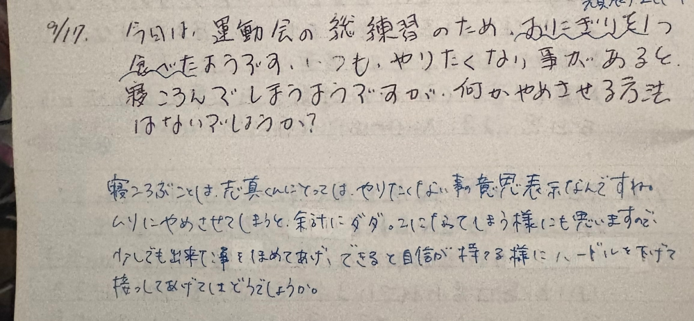 自分が幼稚園の年少の頃は、やりたくないことがあると寝転んでしまうことが多かったのですがこれは問題児ですか？教えてください。9月でもこんな感じだったみたいで療育の先生から助言をもらっていたみたいです。