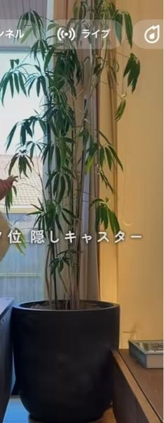 いつもお世話になります。盆栽鉢に押してある落款なのですが、何て書い