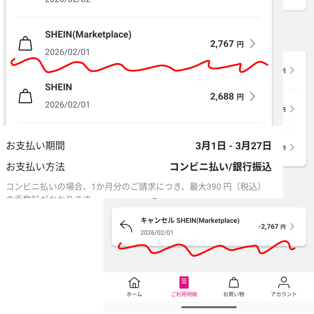ペイディについて質問です！ - 2月初めにSHEINでペイディを利用し服を 