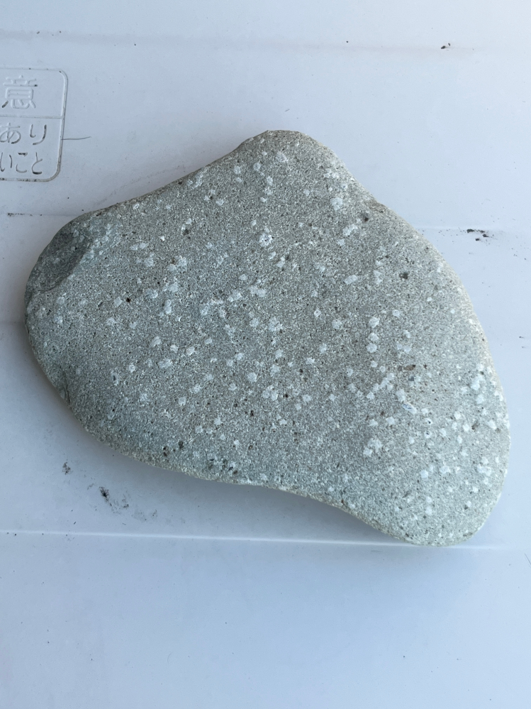 鉱物に詳しい人にお聞きしたいです。この写真の石ってなんだと思いますか？普通の石の中に白いブツブツが沢山入っています。拾った場所は北海道の真ん中の辺りです。