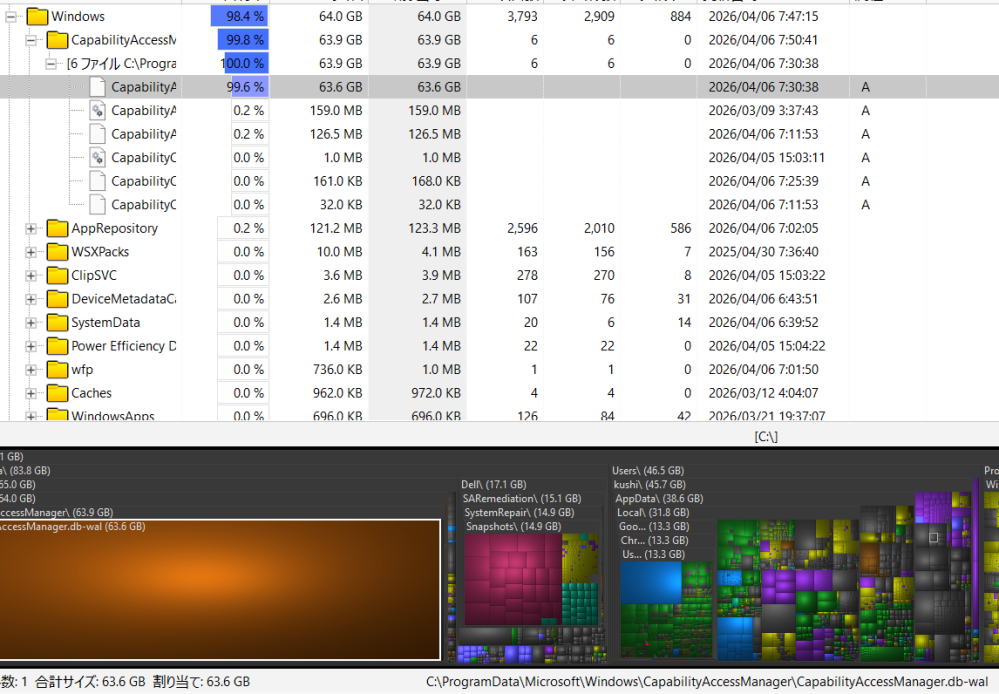 C:\ProgramData\Microsoft\Windows\CapabilityAccessManager\CapabilityAccessManager.db-walgがいっぱいなのですが削除 できませんどうしたらよいですか？