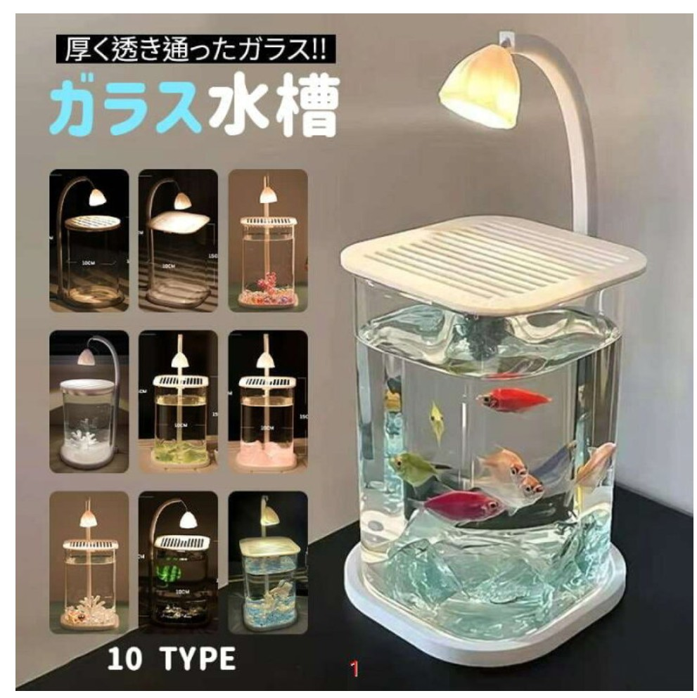 【中古】 一ねん二くみキンギョにへんしん！ Episode 2] Dream Mixed Aquarium Launch Project: Iida-produced