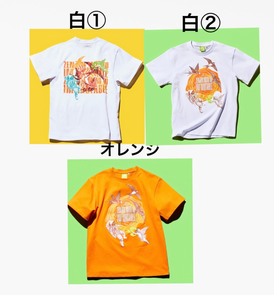 ゼンジン未到とイミュータブルのTシャツどれがおすすめ？白①はバック