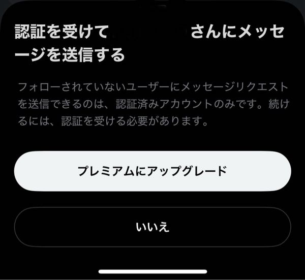 DM用　購入していただいても構いませんが割高です。 昨日までXのdmで連絡してたのに朝起きてdmしようとしたらこの画
