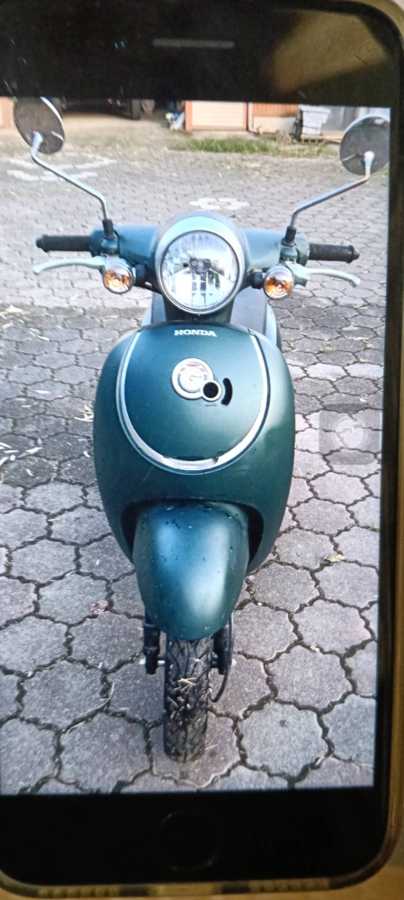 2023年（令和5年）6月ホンダジョルノ車両価格16万諸費用1万