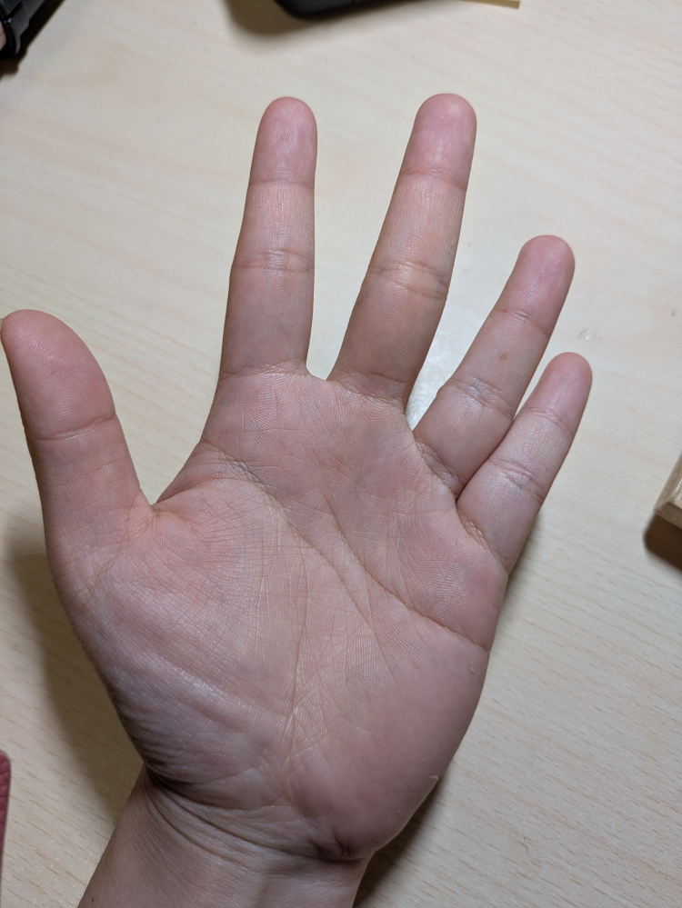 20歳女性で手相について診断してほしいです。将来どんな仕事が向い