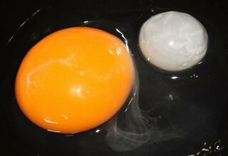 卵を割ったら黄身のとなりにビー玉くらいの白い固まりがついてきました これっ Yahoo 知恵袋