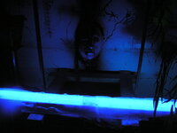 上岡龍太郎てひどくないですか 番組で占い師を呼んだ時 会うなり殴って 占い Yahoo 知恵袋