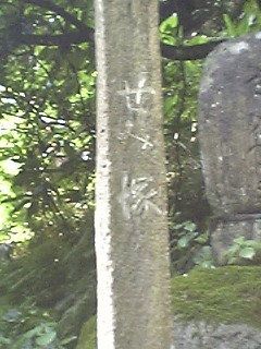 松尾芭蕉の五月雨の降り残してや光堂という句から五月雨が降り残す