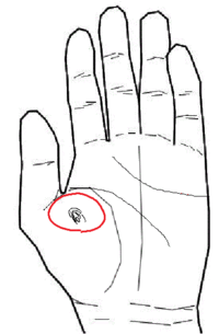 手のひらに指紋のようなものがあるのですが 画像の赤の丸で囲んであ Yahoo 知恵袋