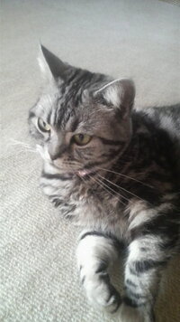 自然へ還る 帰る って言葉から連想されるのは死ですか Yahoo 知恵袋