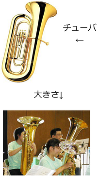 吹奏楽の髪型について 吹奏楽部の部長をしている者です この間先生から演 Yahoo 知恵袋