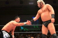 プロレスラーで 金玉が大きい人 見た感じ は試合も強いと思いますが そんな Yahoo 知恵袋