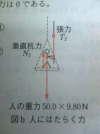 物理の力のつりあいの問題でわからないことがあります 人が板に乗って滑車にか Yahoo 知恵袋
