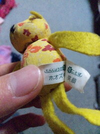 真実を教えてください ホオズキの花言葉についてです 花言葉は Yahoo 知恵袋