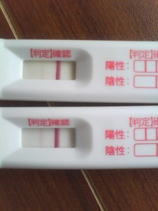 高温期14日目