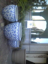 スイレン鉢のボウフラ対策 庭のスイレン鉢にボウフラが湧 Yahoo 知恵袋