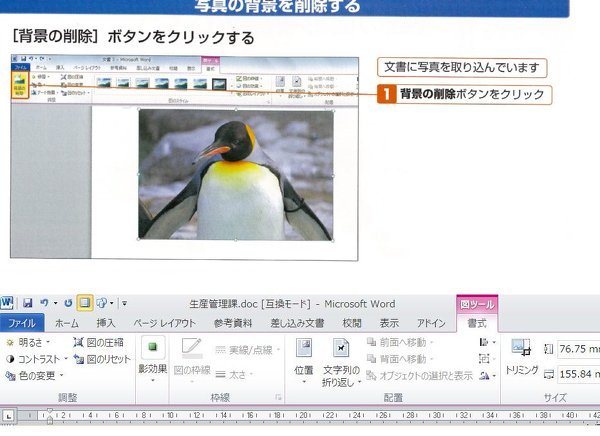 WORD2010、写真背景の削除について - WORD2010を使用してい - Yahoo 