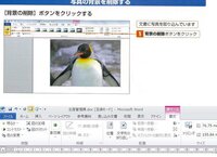 Word10 写真背景の削除について Word10を使用してい Yahoo 知恵袋