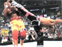 丸藤選手が使っているポールシフト式エメラルドフロウジョンのポールシフト式とはど Yahoo 知恵袋