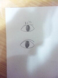 猫ミンチ という言葉を初めて知りました 今から寒くなると猫が Yahoo 知恵袋