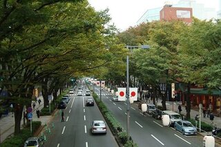 東京の表参道のパーキング 東京の表参道の道路沿いにあるコインパーキング Yahoo 知恵袋