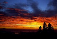 詩的な表現力というか 文章力というか そんな日本語力とかはどう Yahoo 知恵袋