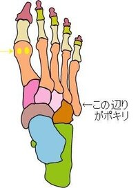 県民共済の給付金について質問します 子供が１０月に骨折の為 手術をし Yahoo 知恵袋