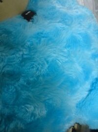 神奈川県内のアニメイトで大きいのはどこでしょうか トップ5の順位で教えてくださ Yahoo 知恵袋