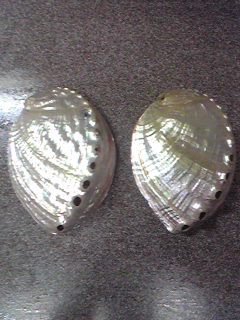 アワビのからをきれいにするにはどうしたらいいでしょうか？ - 今日