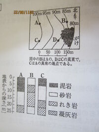 オオカナダモの葉が細胞の観察に適している理由を教えてください 一般 Yahoo 知恵袋