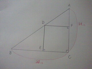 小学６年生の算数の宿題が解けません 教えて下さい 下の図のような 直角三角 Yahoo 知恵袋