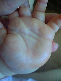 赤ちゃんの手相について 現在９ヶ月の女の子なんですが左手の生命線がとても短 Yahoo 知恵袋