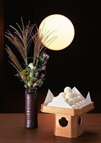 咲き誇る花は散るからこそに美しい とは どういう意味なのでしょうか Yahoo 知恵袋