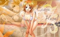 この女性キャラ好き 嫌い シリーズ第５１回 ワンピース ナミ 一 Yahoo 知恵袋