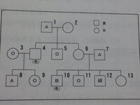 高校 生物の血液型の問題の解き方を教えて下さい下の図の13がab Yahoo 知恵袋