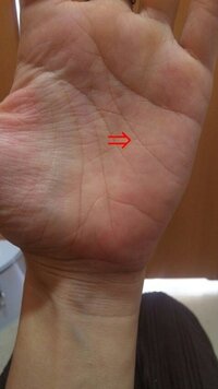 私の手相は二重感情線ですか それとも頭脳線の枝分かれですか 回答 Yahoo 知恵袋