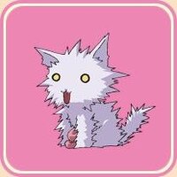 カンデンヤマネコは好きですか カンデンヤマネコは好きですよ Yahoo 知恵袋