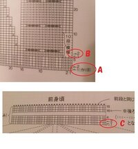 バス釣りを初めて少しなんですがイマイチ バスと鯉の魚影の見分けがつけませ Yahoo 知恵袋