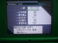 ポケモンbw2の質問ですジャイアントホールのb1fでメタングや Yahoo 知恵袋