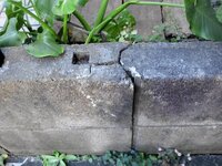 ブロック塀の補修の材料を教えてほしいです 膝ぐらいの高さのブロック塀に 車をぶつ 教えて 住まいの先生 Yahoo 不動産