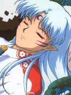 21公式店舗 殺生丸 アニメ作画 犬夜叉 国内正規品 限定 Villa Saintantoine Com